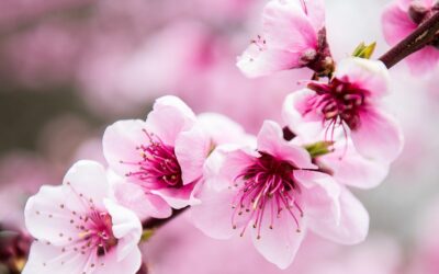 May Holidays special offer