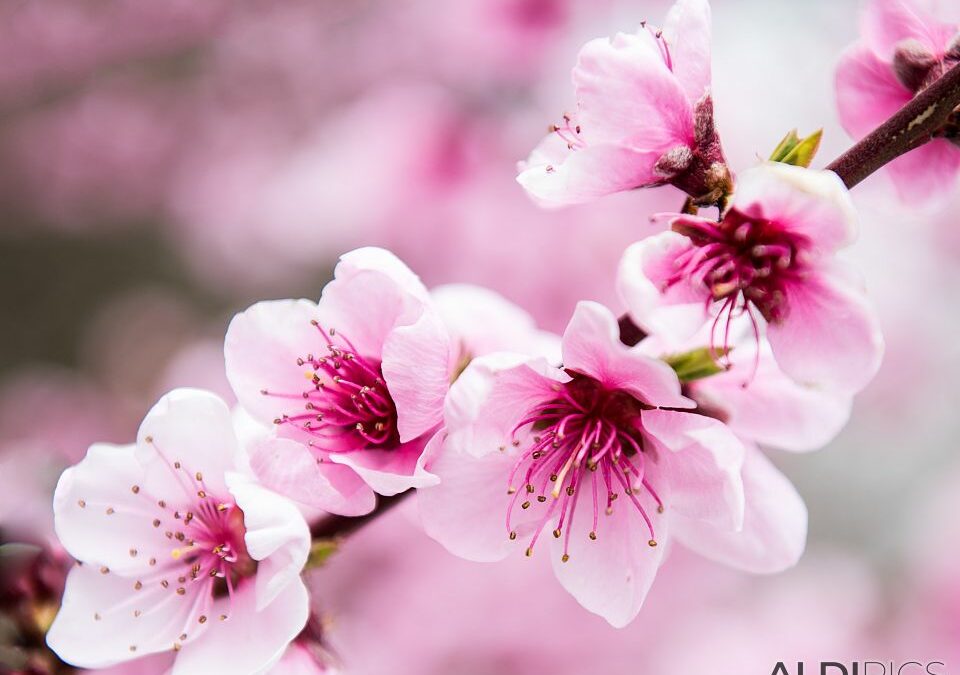 Оферта Майски празници