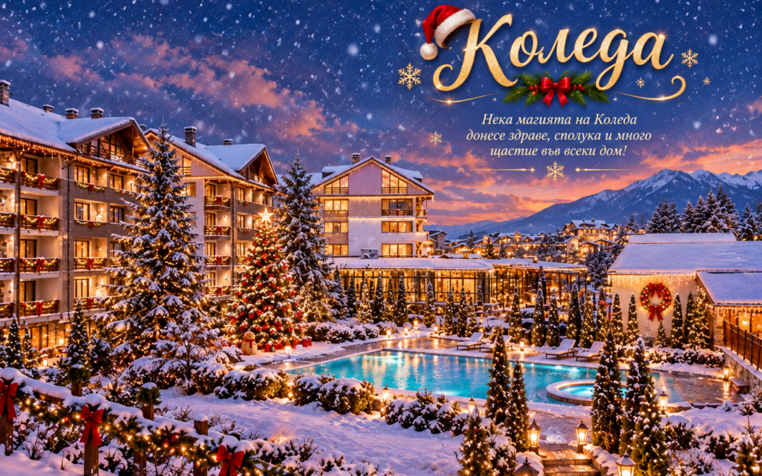 Бъдни вечер и Коледа в LOCAL STAY